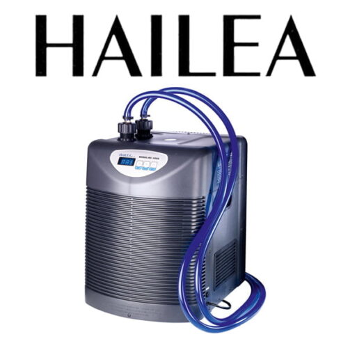 איך לבחור מערכת יעילה לקירור אקווריום?