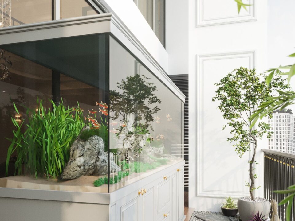 איך לבחור אקווריום גדול שמתאים לבית שלך